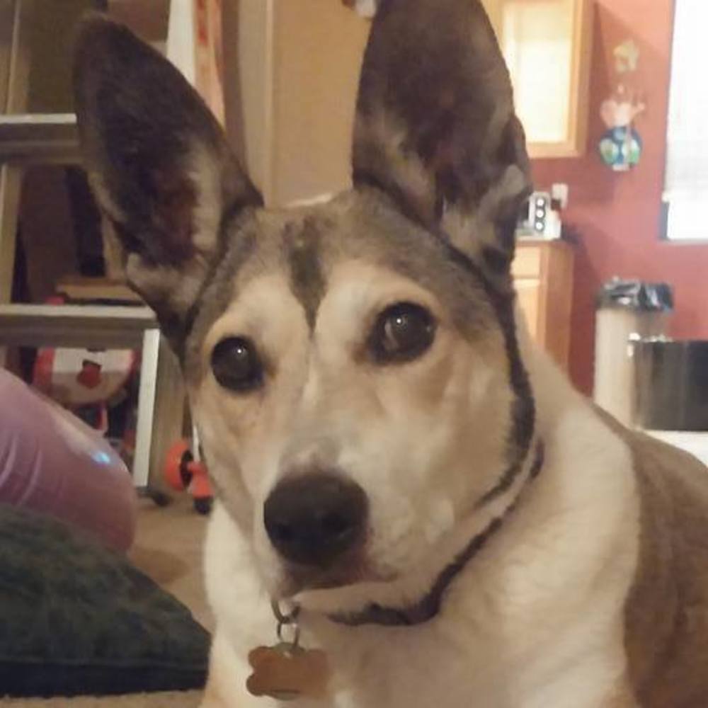 Meet your Posher, Christine